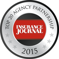 top-20-2015 top 20 2015